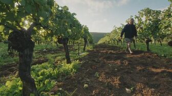 Eva Longoria Searching For France S01E05 WEB H264-RBB